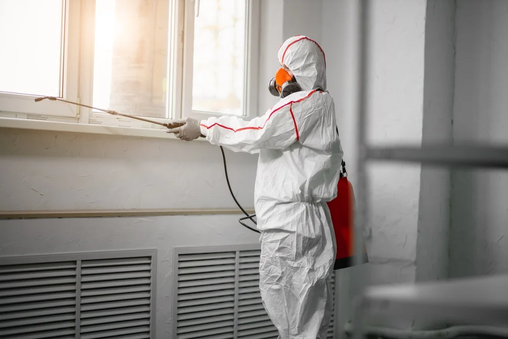 Professional mold remediation services in Wildwood, NJ